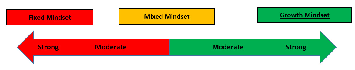 Learner Mindset Meaning System Continuum